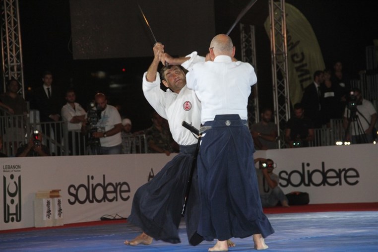 Martial Arts Festival